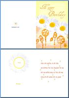 Birthday Card For Her:Daisies Example