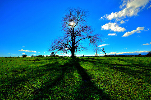 Example of Brilliant Shadow Photography
