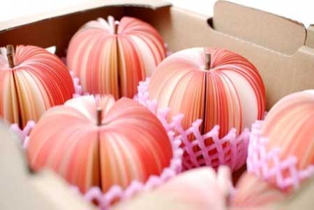 Example of Paper Art Photography