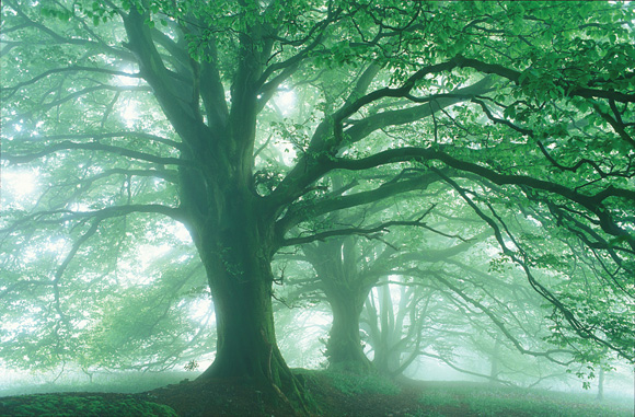 Example of Spring Photography