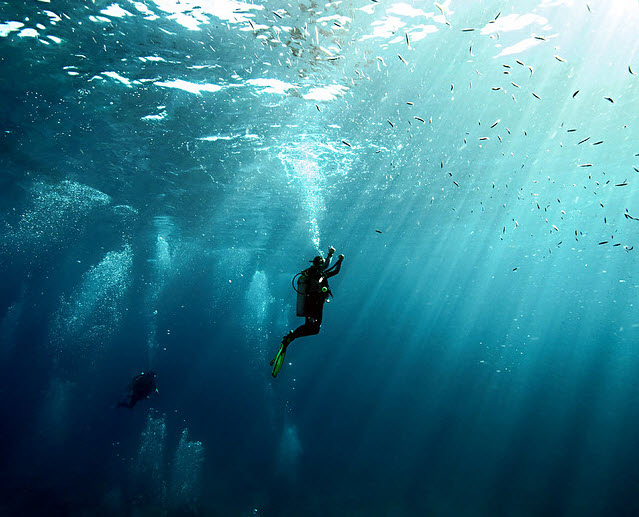 Example of Underwater Photography